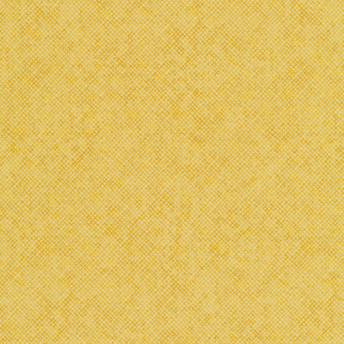 Wisper Weave Daffodil 13610 3