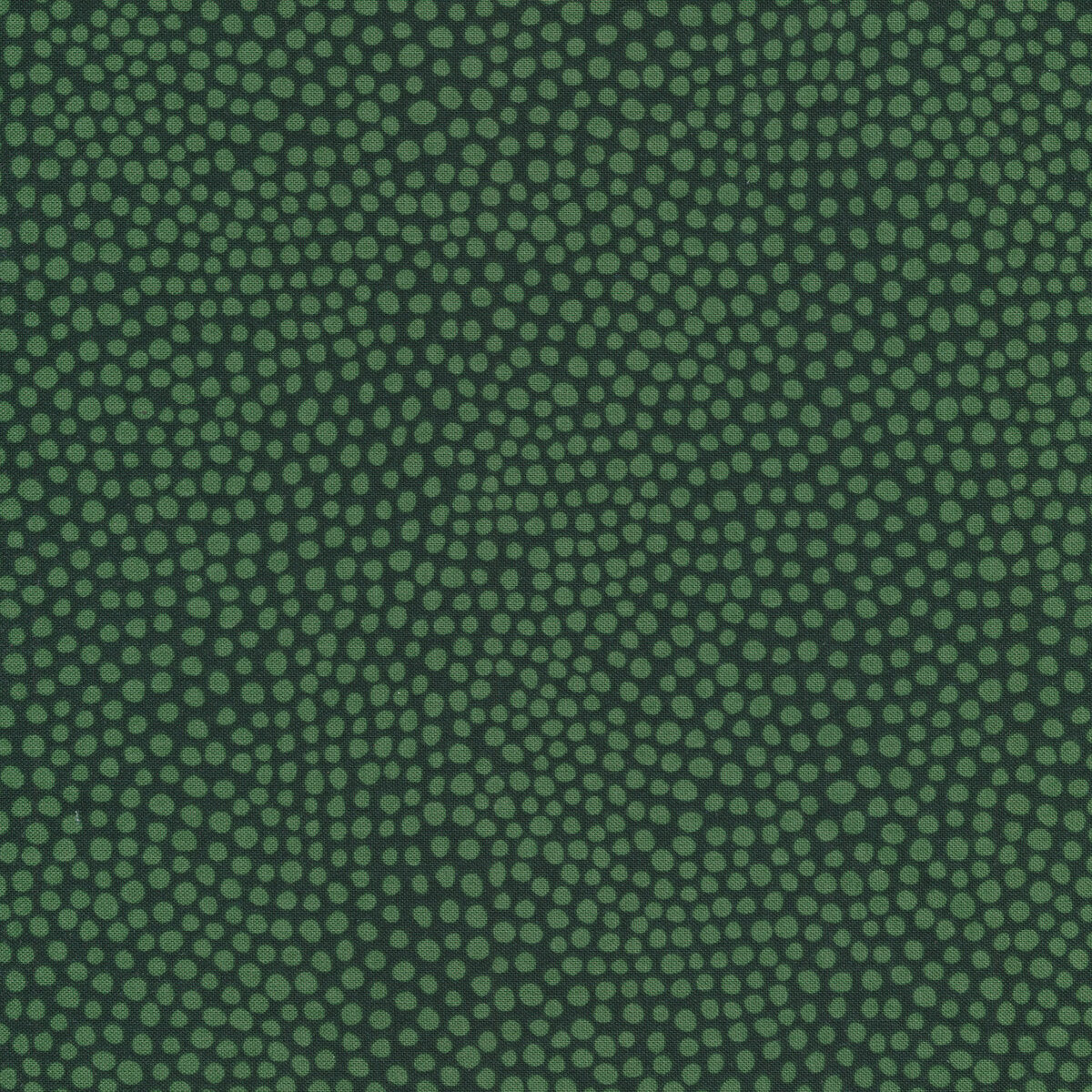 Wander Lane 13660-46 Forest Pebbles
