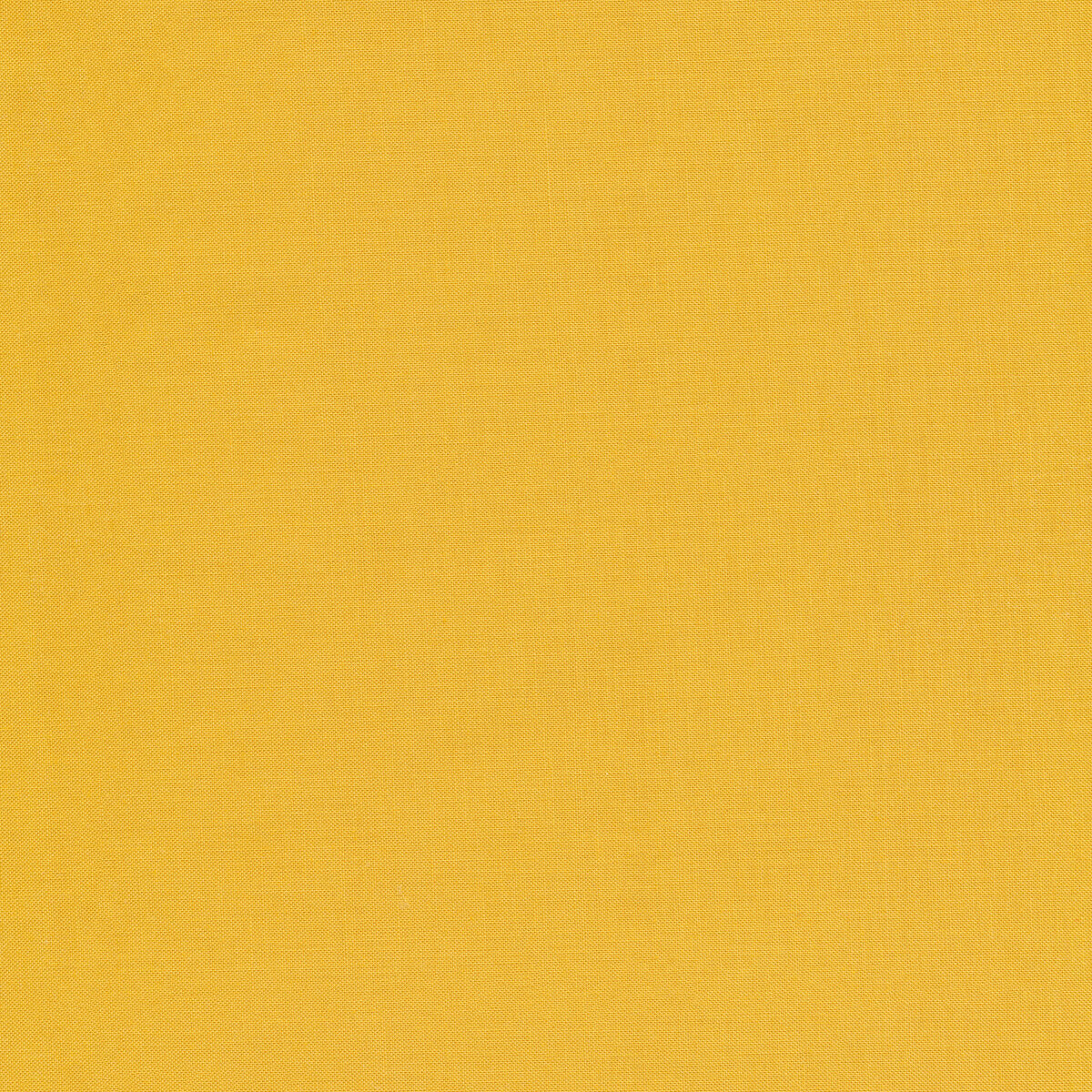 Bella Mustard 990 213