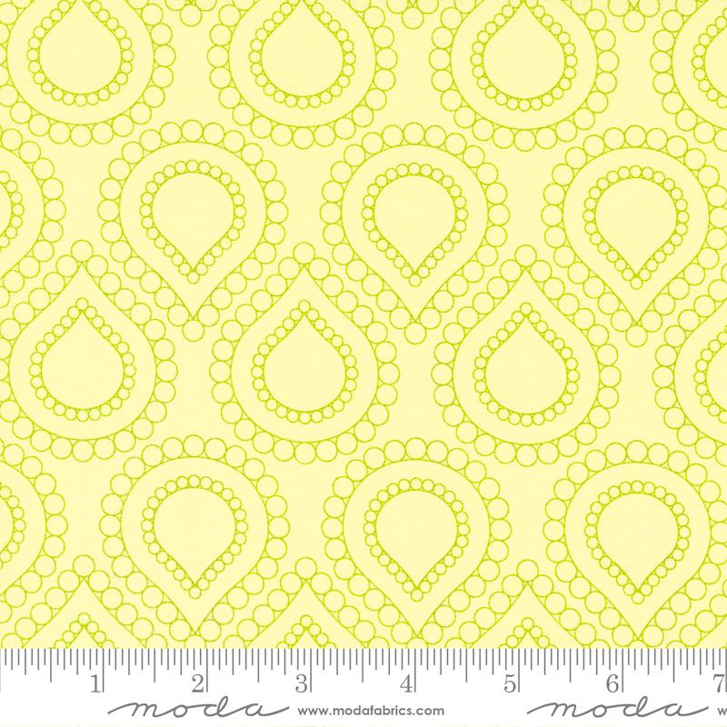 Rainbow Sherbet Kiwi 45021 29